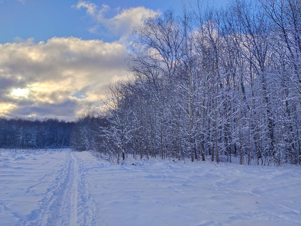 Личное фото