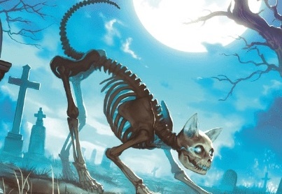 Арт скелетного кота - это и есть тот самый Мартин Борсана.