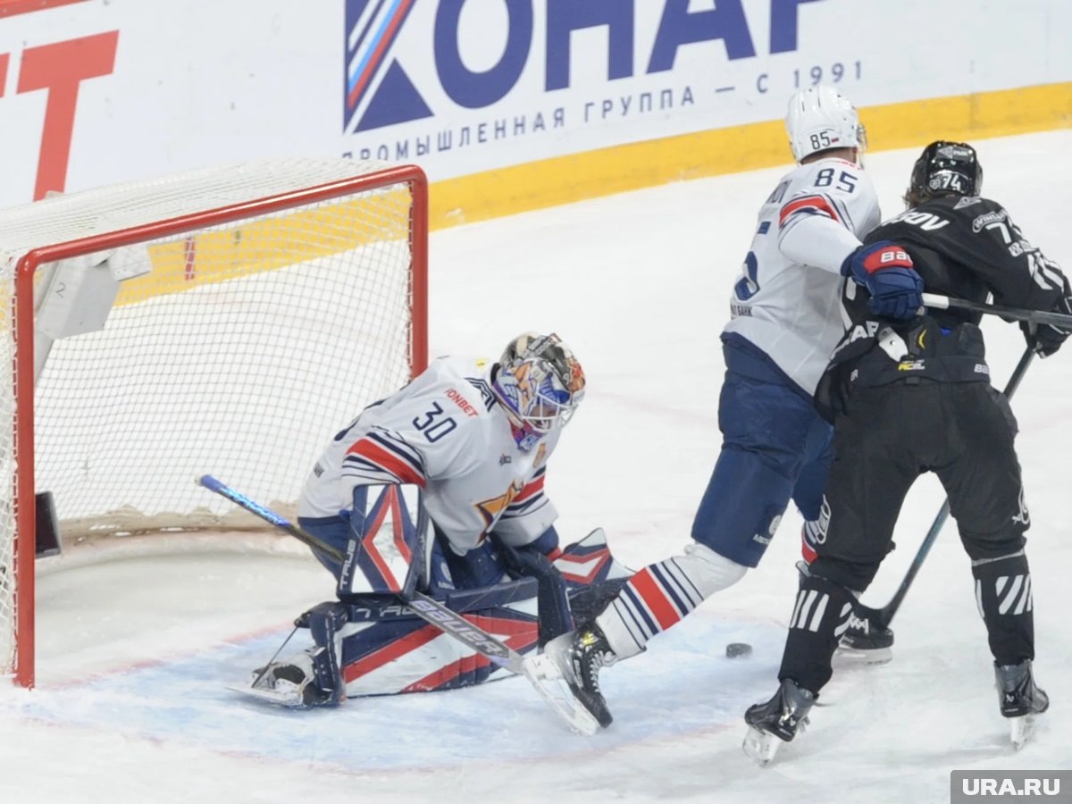     Бобровский заступился за своего одноклубника и вступил в драку (архивное фото)