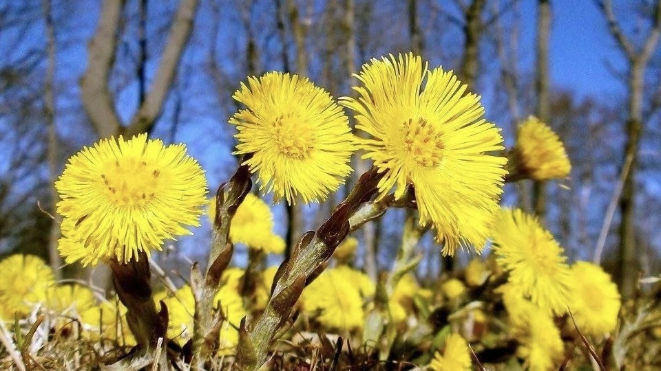 Дочь так и не знает отца