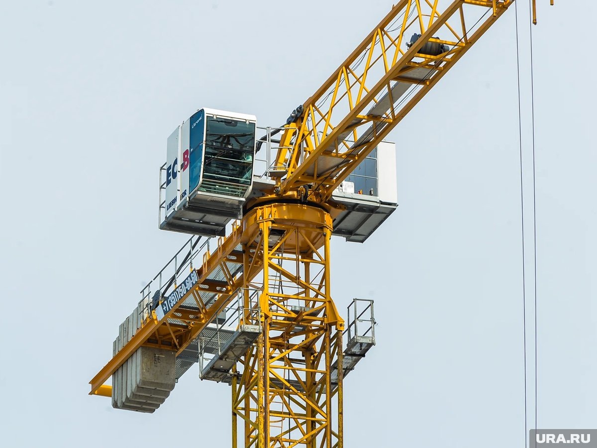     Проект экспертная организация одобрила 14 января 2026 года