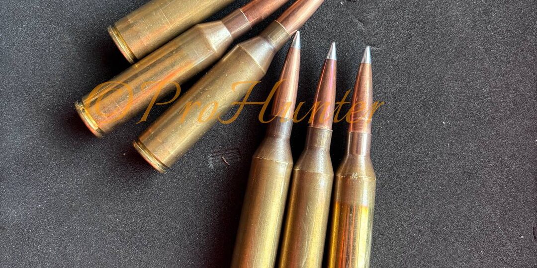 Немного про матчевые пули на охоте