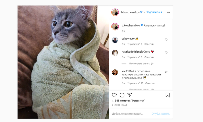 Кот Степан источник инсиагпамм Бриса Копчевникова