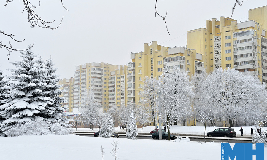 Городские советы ТОС получают в месяц до полутысячи вопросов от граждан