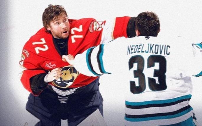 Обложка © X / Florida Panthers