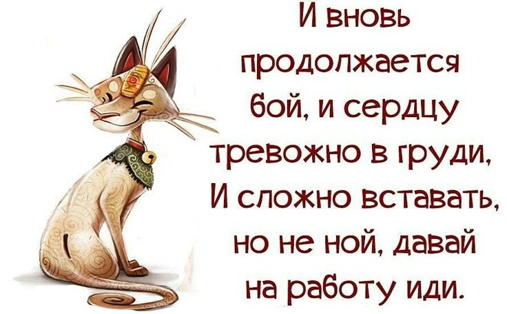 Фото из открытого источника в интернете.