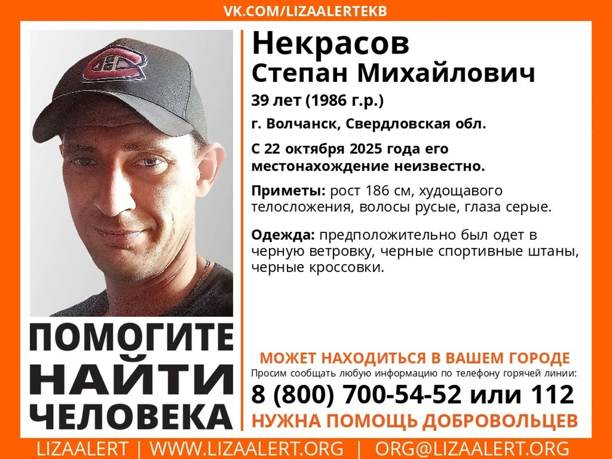 Фото: поисковый отряд «Лиза Алерт» Свердловской области  📷
