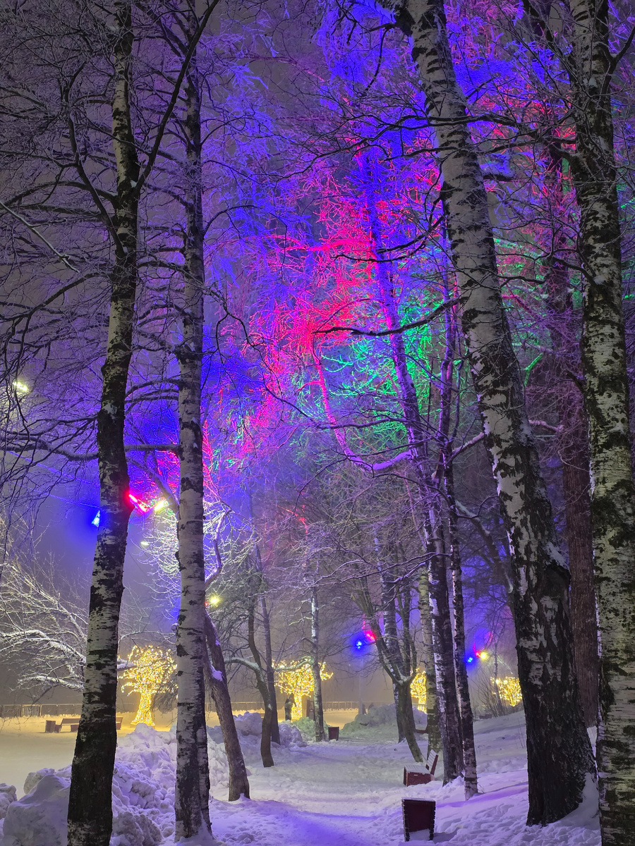 Прогулка в парке 19 января 2026 года