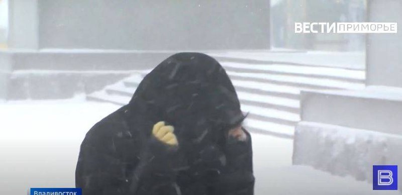 ⚡️⚡️⚡️⚡️Снег и "жгучий" ветер прогнозируют синоптики в Приморье В регионе реально наступления опасного явления «аномально холодная погода