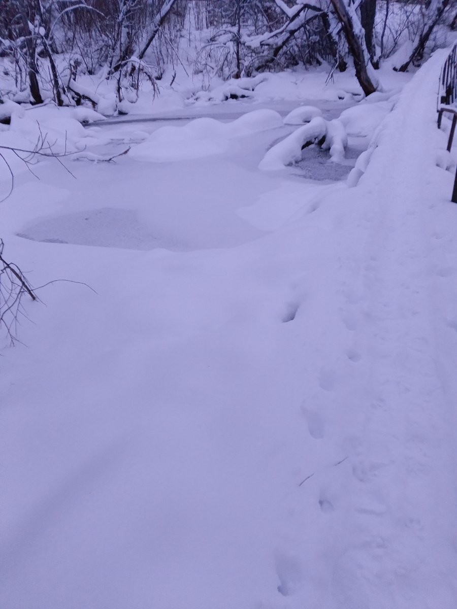 Глухое преглухое село