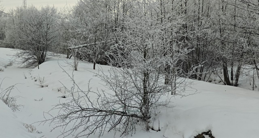    Первый городской канал Калининград