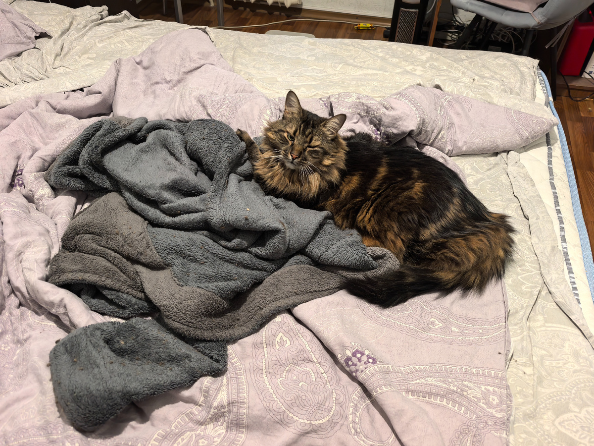 Тут я моргнул.