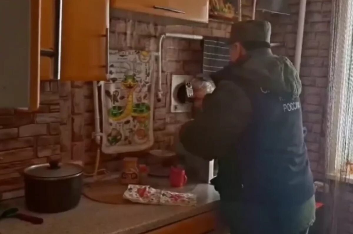    Бастрыкин запросил доклад по делу о гибели двух человек под Пензой от газа