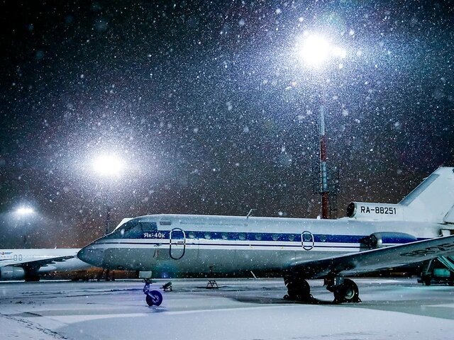    Фото: Москва 24/Лидия Широнина