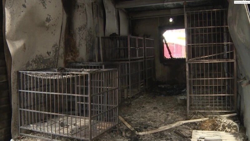      Фото: ОТВ Сахалин