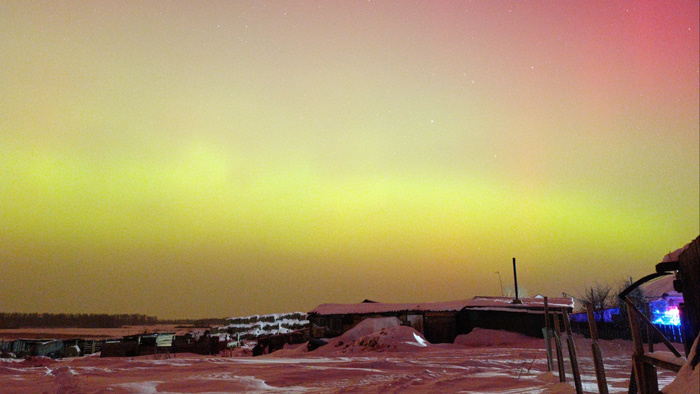    Фото: t.me/sargatskoeomsk