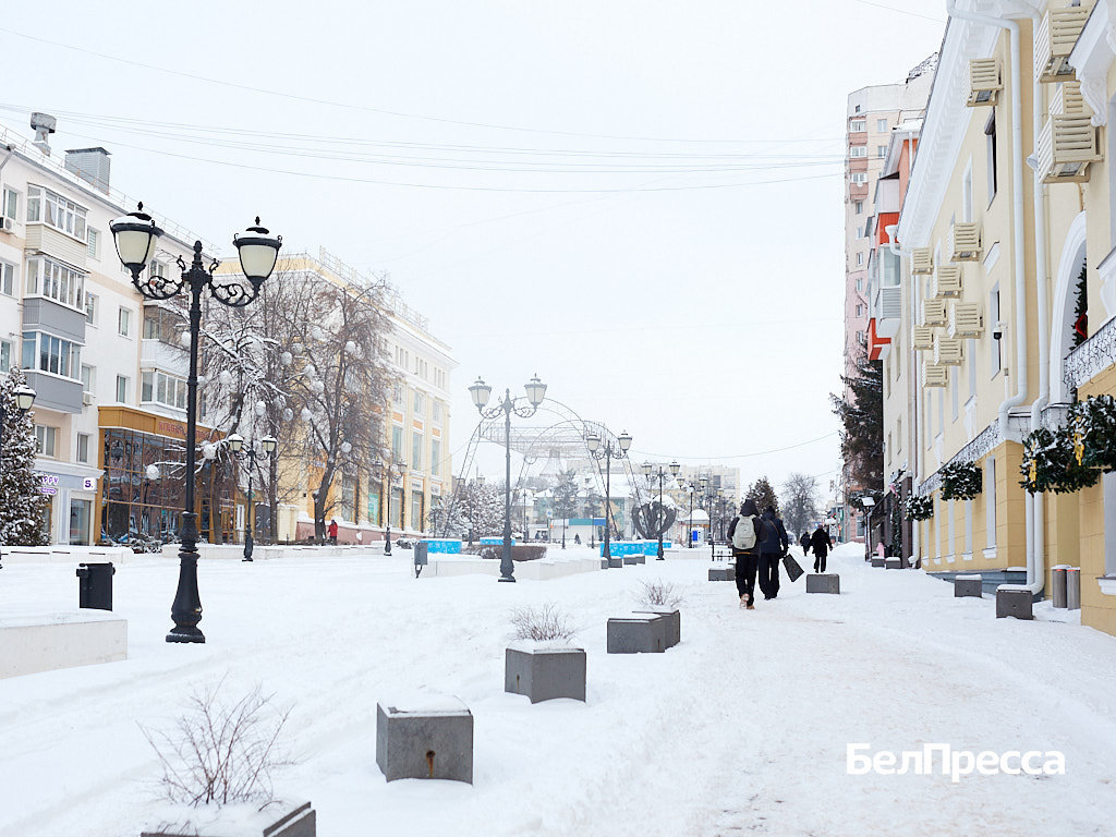     Фото: Елена Журавлёва