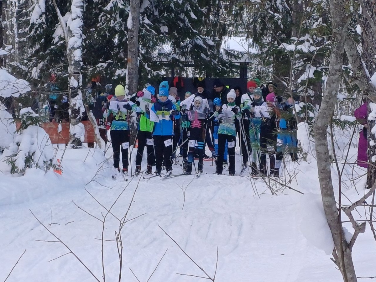    Фото: Федерация спортивного ориентирования Карелии