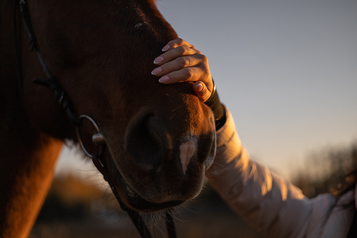    woodHunt / Shutterstock / FOTODOM