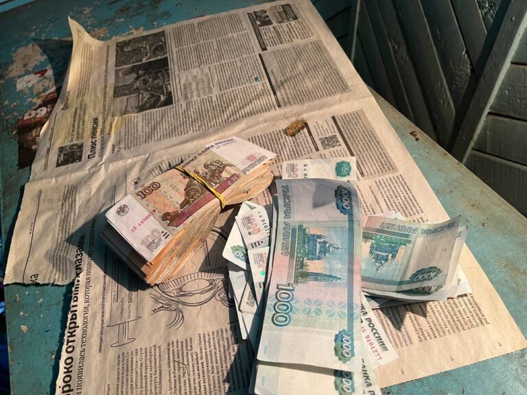    В Орске женщина украла у знакомой 30 тысяч рублей во время застолья Оренбуржье