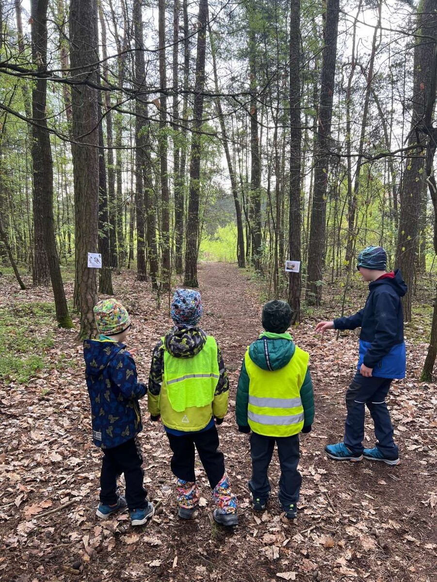 фото из архива автора: еще из садика, игра в лесу, готовили школьники