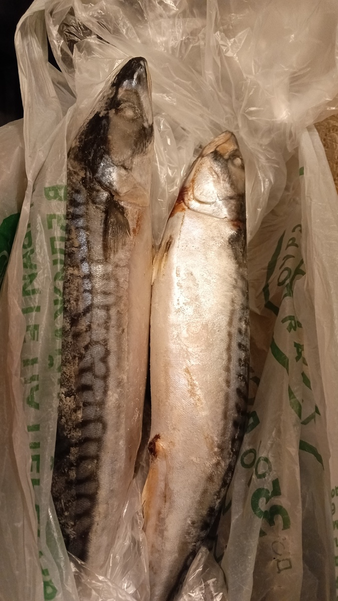 фото автора: купил скумбрию, посчитали за срезки трески