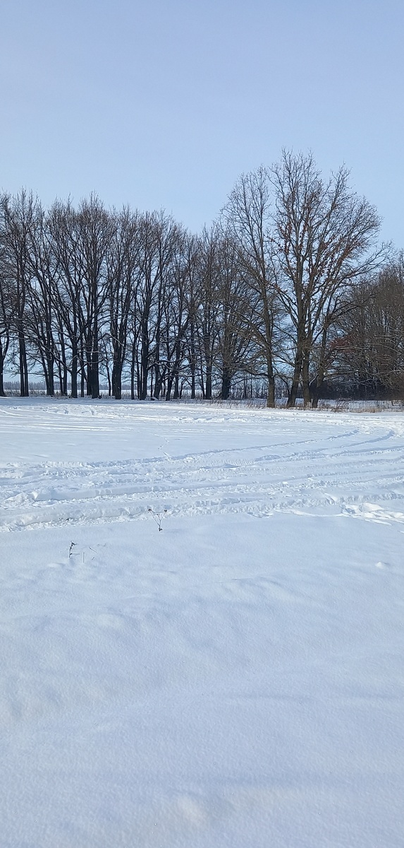 Мороз и солнце