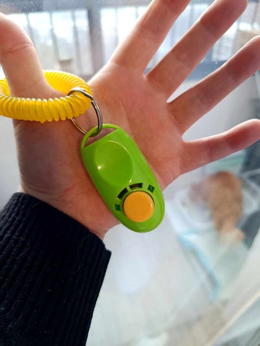 Я использую такой кликер