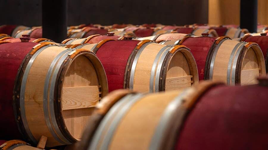    Фото: Global Look Press/IMAGO/Klaus W. Schmidt