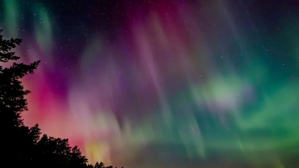    Фото: Conny Sjostrom/Shutterstock/Fotodom