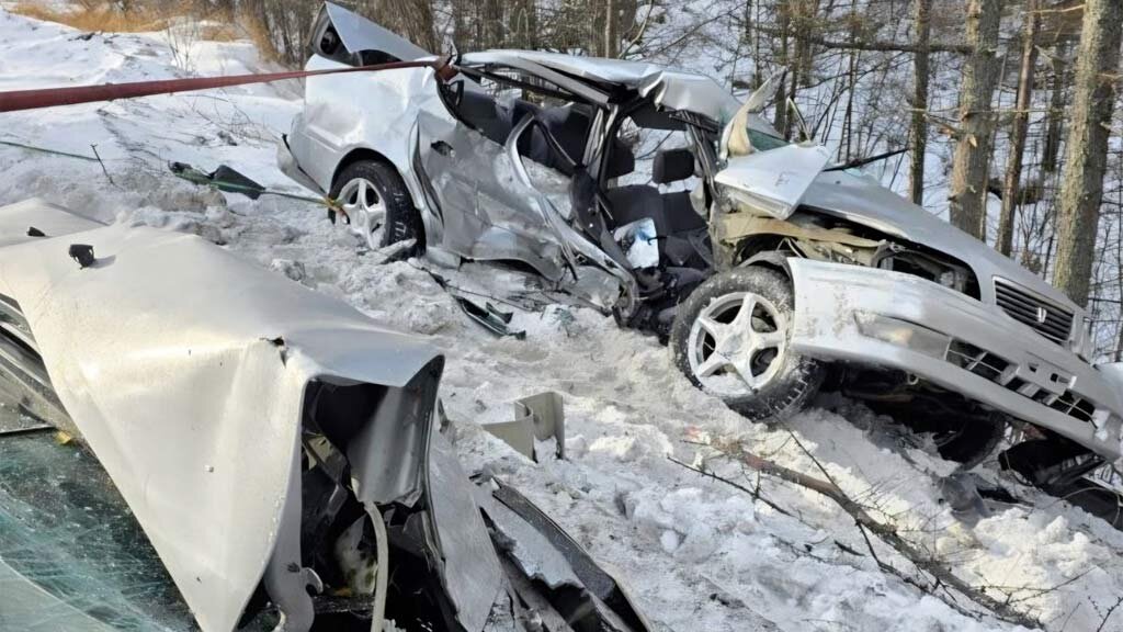    Фото: телеграм-канал Госавтоинспекции Хабаровского края