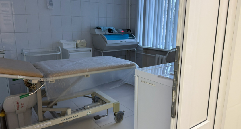    Автор фото — Анастасия Козлова