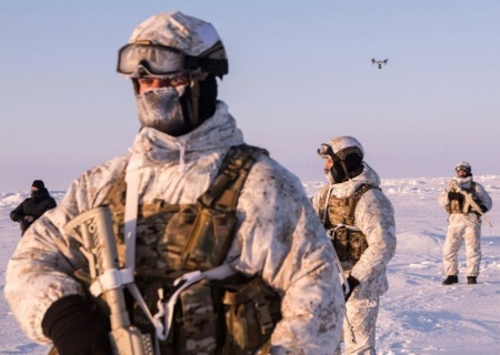    Дания и Гренландия призывают НАТО укрепить присутствие в Арктике