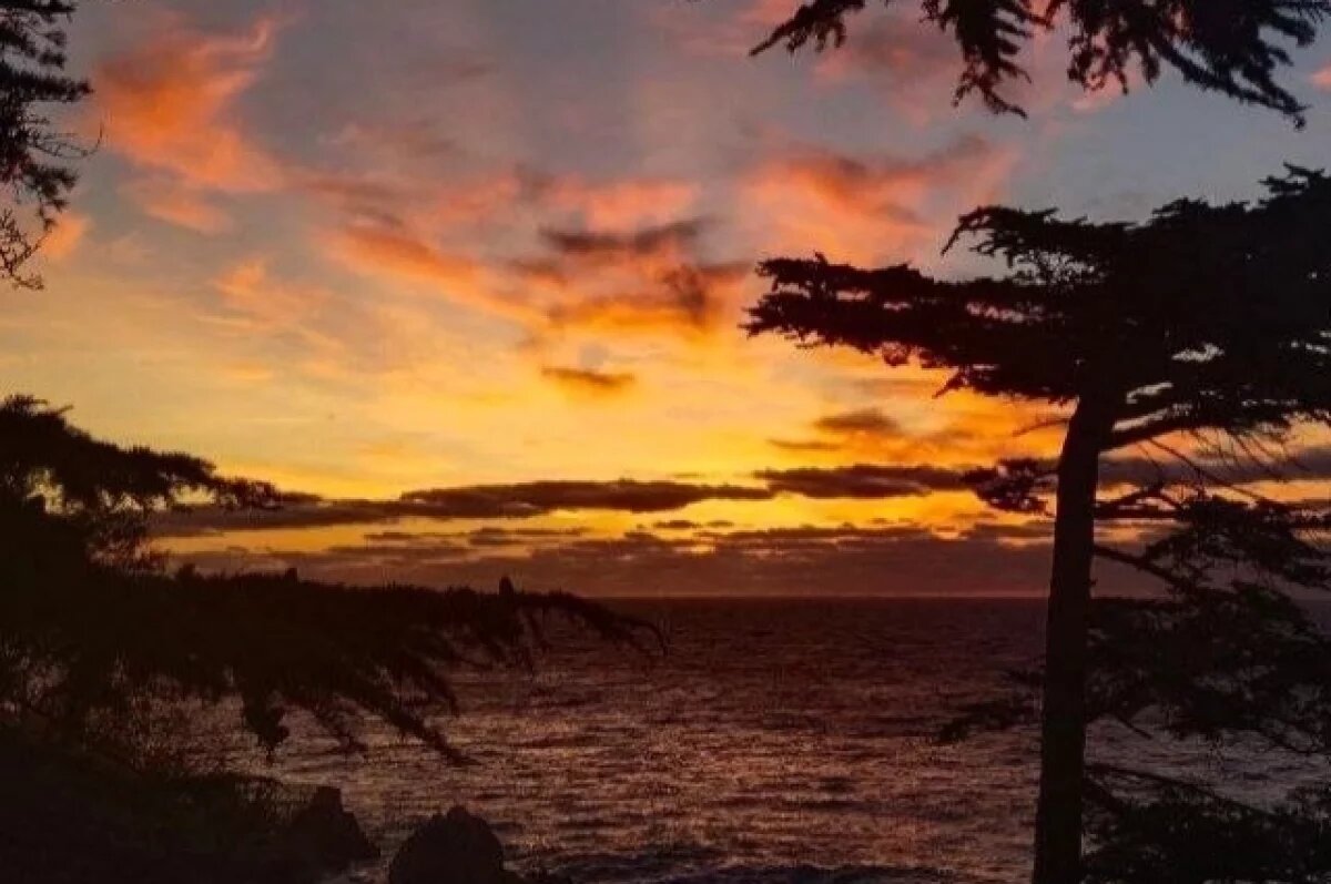    Над Крымом утром 20 января силы ПВО отразили атаку БПЛА ВСУ