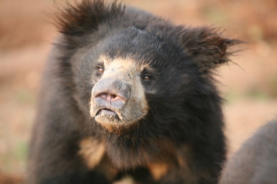    Cover Images/Keystone Press Agency/Global Look Press