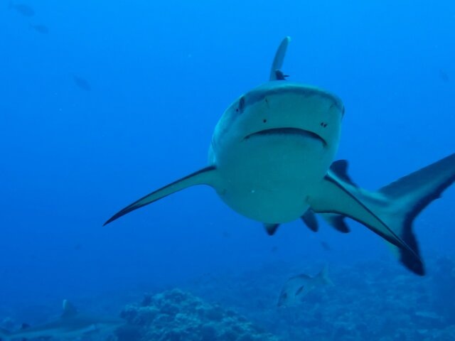    Фото: depositphotos/izanbar