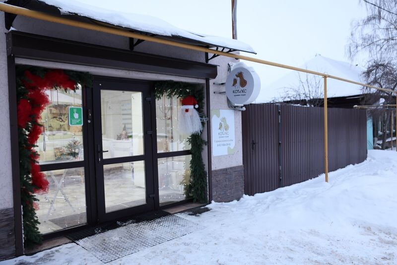 Листайте вправо, чтобы увидеть больше изображений