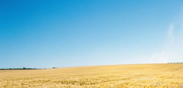    Фото: Медведева Анна, AgroXXI.ru