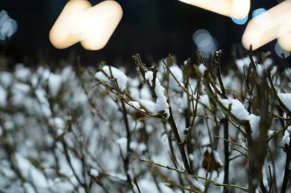 Народные приметы на 21 января 2025 года: что нельзя делать в этот день