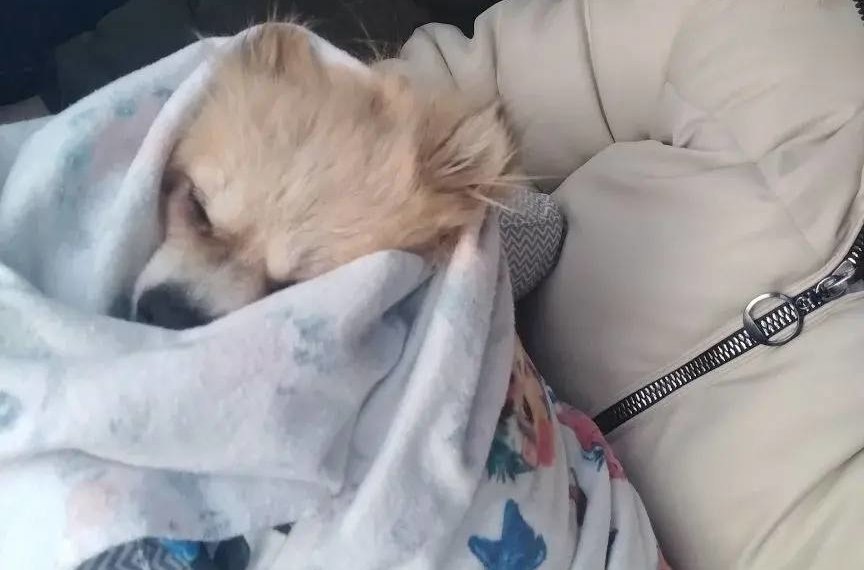    Фото: НДН. Инфо