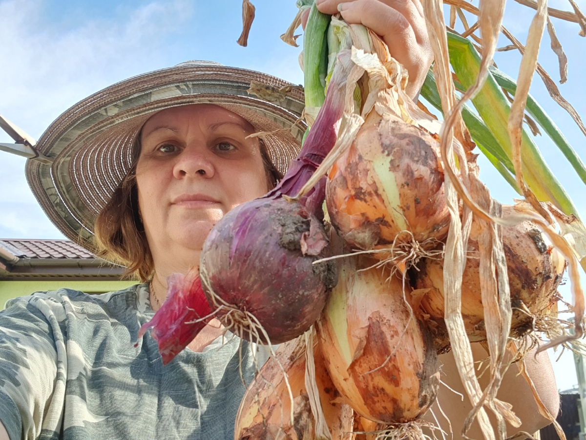 Лук. Вдали от города. Нина Коновалова