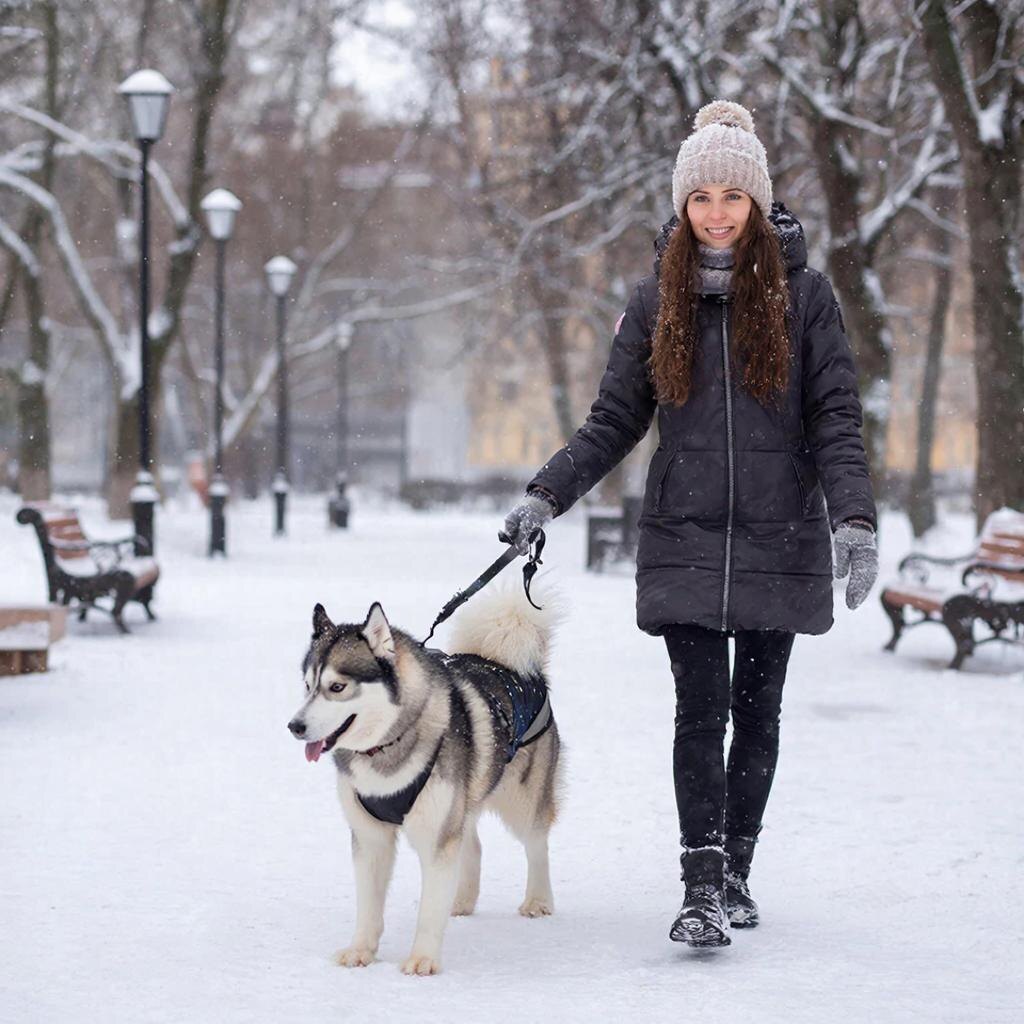 Благодаря акции четыре собаки обрели свой дом и друзей.  Фото: Изображение сгенерировано с помощью ИИ / Станислав Казаченко