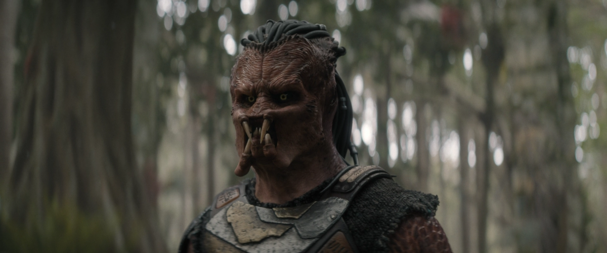 Ну и рожа у тебя, Шарапов!