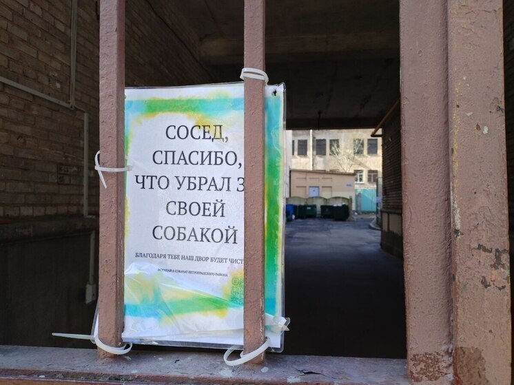     Штрафы получили безответственные хозяева, которые считают, что «им закон не писан». Фото: Архив МК в Великом Новгороде