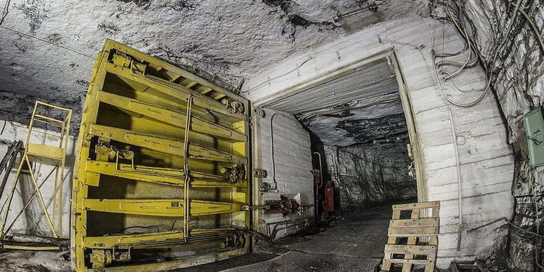 Почему советские консервы с китовым мясом исчезли через 30 лет