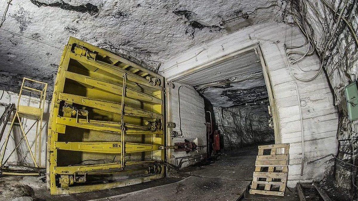 Почему советские консервы с китовым мясом исчезли через 30 лет