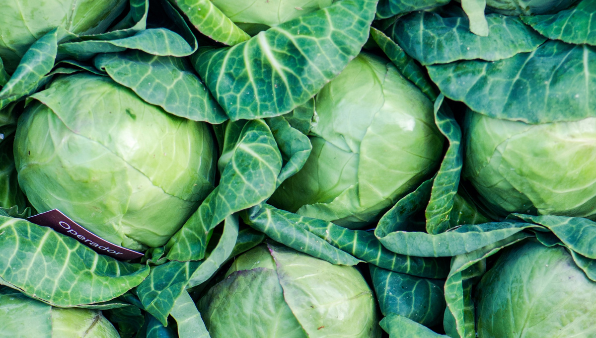     Natasha Skov/Unsplash