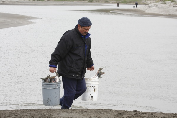 Фото  Димы Уткина