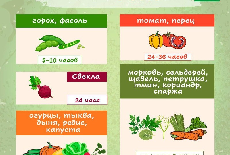 А вы в чем обычно замачиваете