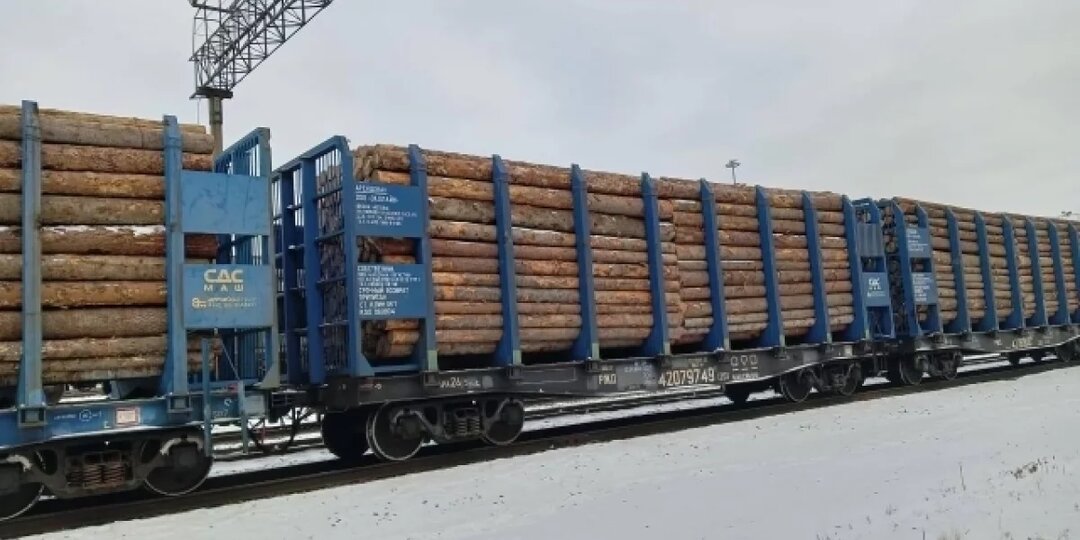 В Омской области осудили замдиректора лесхоза и его брата за кражу леса